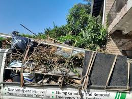 Best Demolition Debris Removal  in Churubusco, IN
